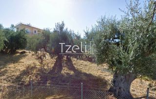 Οικόπεδο 980 τ.μ. για πώληση, Αχαΐα, Μεσσατίδα-thumb-15