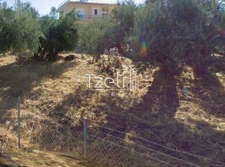 Οικόπεδο 980 τ.μ. για πώληση, Αχαΐα, Μεσσατίδα-thumb-10