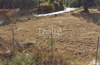 Οικόπεδο 980 τ.μ. για πώληση, Αχαΐα, Μεσσατίδα-thumb-19