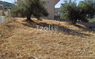 Οικόπεδο 980 τ.μ. για πώληση, Αχαΐα, Μεσσατίδα-thumb-18