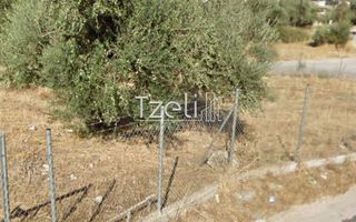 Οικόπεδο 980 τ.μ. για πώληση, Αχαΐα, Μεσσατίδα-thumb-23