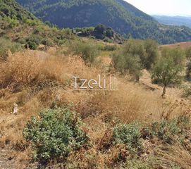 Οικόπεδο 525 τ.μ. για πώληση, Αχαΐα, Πάτρα-thumb-4