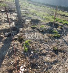 Οικόπεδο 1.010 τ.μ. για πώληση, Αχαΐα, Ρίο-thumb-2