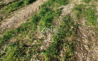 Οικόπεδο 1.010 τ.μ. για πώληση, Αχαΐα, Ρίο-thumb-25