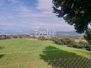 Οικόπεδο 3.688 τ.μ. για πώληση, Αχαΐα, Μεσσατίδα-thumb-14