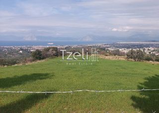 Οικόπεδο 3.688 τ.μ. για πώληση, Αχαΐα, Μεσσατίδα-thumb-22