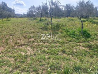 Οικόπεδο 3.688 τ.μ. για πώληση, Αχαΐα, Μεσσατίδα-thumb-10