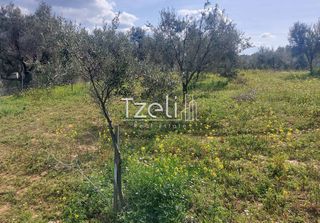 Οικόπεδο 3.688 τ.μ. για πώληση, Αχαΐα, Μεσσατίδα-thumb-25