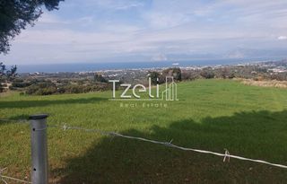 Οικόπεδο 3.688 τ.μ. για πώληση, Αχαΐα, Μεσσατίδα-thumb-28