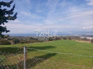 Οικόπεδο 3.688 τ.μ. για πώληση, Αχαΐα, Μεσσατίδα-thumb-3