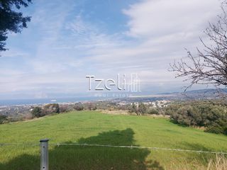 Οικόπεδο 3.688 τ.μ. για πώληση