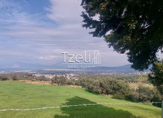 Οικόπεδο 3.688 τ.μ. για πώληση, Αχαΐα, Μεσσατίδα-thumb-24