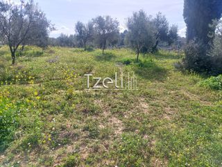 Οικόπεδο 3.688 τ.μ. για πώληση, Αχαΐα, Μεσσατίδα-thumb-15