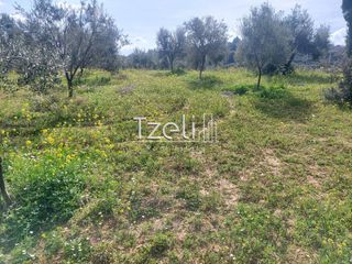 Οικόπεδο 3.688 τ.μ. για πώληση, Αχαΐα, Μεσσατίδα-thumb-6