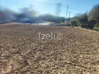 Οικόπεδο 366 τ.μ. για πώληση, Αχαΐα, Μεσσατίδα-thumb-11