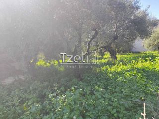 Οικόπεδο 1.000 τ.μ. για πώληση