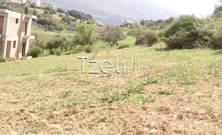 Οικόπεδο 520 τ.μ. για πώληση, Αχαΐα, Μεσσατίδα-thumb-17