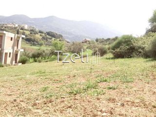 Οικόπεδο 520 τ.μ. για πώληση, Αχαΐα, Μεσσατίδα-thumb-5