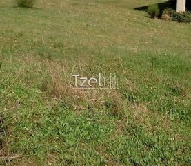 Οικόπεδο 520 τ.μ. για πώληση, Αχαΐα, Μεσσατίδα-thumb-29