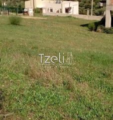 Οικόπεδο 520 τ.μ. για πώληση, Αχαΐα, Μεσσατίδα-thumb-7