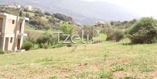 Οικόπεδο 520 τ.μ. για πώληση, Αχαΐα, Μεσσατίδα-thumb-8