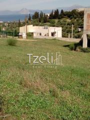 Οικόπεδο 520 τ.μ. για πώληση, Αχαΐα, Μεσσατίδα-thumb-20