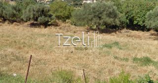 Οικόπεδο 520 τ.μ. για πώληση, Αχαΐα, Μεσσατίδα-thumb-16