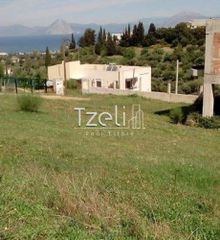Οικόπεδο 520 τ.μ. για πώληση, Αχαΐα, Μεσσατίδα-thumb-14