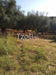 Οικόπεδο 520 τ.μ. για πώληση, Αχαΐα, Μεσσατίδα-thumb-21