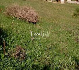Οικόπεδο 520 τ.μ. για πώληση, Αχαΐα, Μεσσατίδα-thumb-22