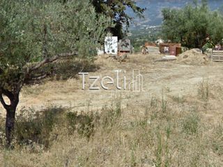 Οικόπεδο 520 τ.μ. για πώληση, Αχαΐα, Μεσσατίδα-thumb-10