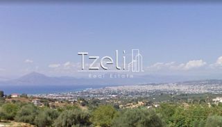 Οικόπεδο 520 τ.μ. για πώληση, Αχαΐα, Μεσσατίδα-thumb-4