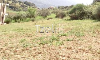 Οικόπεδο 520 τ.μ. για πώληση, Αχαΐα, Μεσσατίδα-thumb-18