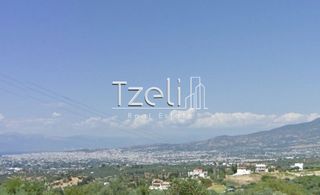Οικόπεδο 520 τ.μ. για πώληση, Αχαΐα, Μεσσατίδα-thumb-6