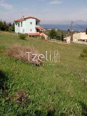 Οικόπεδο 520 τ.μ. για πώληση, Αχαΐα, Μεσσατίδα-thumb-3