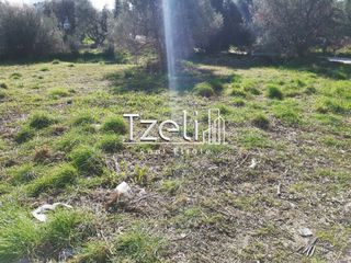 Οικόπεδο 520 τ.μ. για πώληση, Αχαΐα, Μεσσατίδα-thumb-27