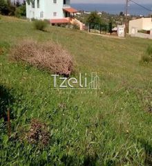 Οικόπεδο 520 τ.μ. για πώληση, Αχαΐα, Μεσσατίδα-thumb-1