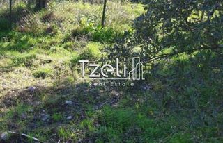 Οικόπεδο 520 τ.μ. για πώληση, Αχαΐα, Μεσσατίδα-thumb-26
