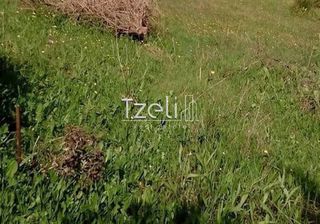Οικόπεδο 520 τ.μ. για πώληση, Αχαΐα, Μεσσατίδα-thumb-24