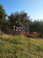 Οικόπεδο 520 τ.μ. για πώληση, Αχαΐα, Μεσσατίδα-thumb-15