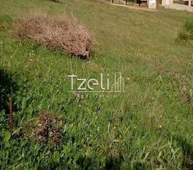 Οικόπεδο 520 τ.μ. για πώληση, Αχαΐα, Μεσσατίδα-thumb-13