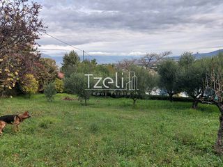 Οικόπεδο 1.010 τ.μ. για πώληση, Αχαΐα, Παραλία-thumb-18