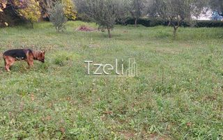 Οικόπεδο 1.010 τ.μ. για πώληση, Αχαΐα, Παραλία-thumb-24