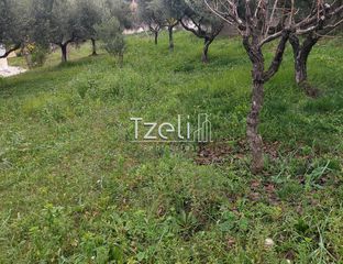 Οικόπεδο 1.010 τ.μ. για πώληση, Αχαΐα, Παραλία-thumb-7