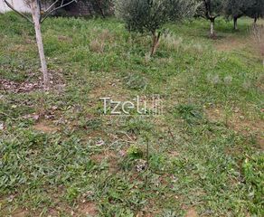 Οικόπεδο 1.010 τ.μ. για πώληση, Αχαΐα, Παραλία-thumb-1