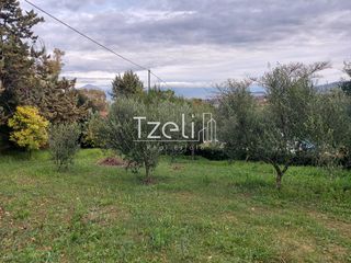 Οικόπεδο 1.010 τ.μ. για πώληση, Αχαΐα, Παραλία-thumb-13