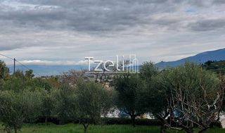 Οικόπεδο 1.010 τ.μ. για πώληση, Αχαΐα, Παραλία-thumb-23
