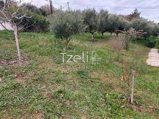 Οικόπεδο 1.010 τ.μ. για πώληση, Αχαΐα, Παραλία-thumb-6