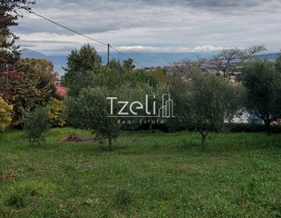 Οικόπεδο 1.010 τ.μ. για πώληση, Αχαΐα, Παραλία-thumb-2