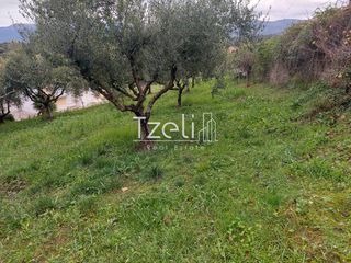 Οικόπεδο 1.010 τ.μ. για πώληση, Αχαΐα, Παραλία-thumb-15